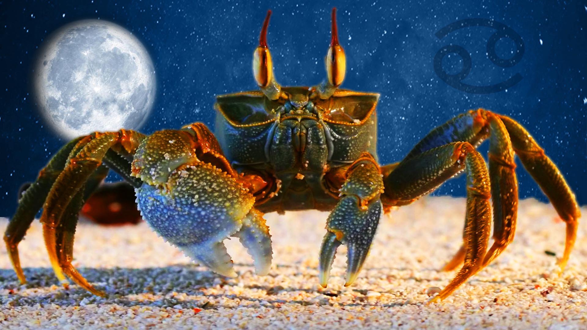 Weekly Horoscope Cancer May 6 May 12, 2019 Ruling