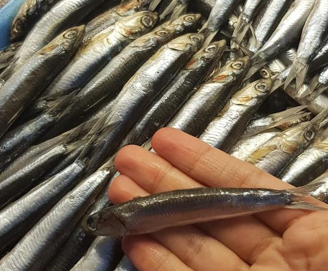 Fried Anchovies Snack Recipe Ruling the Kitchen