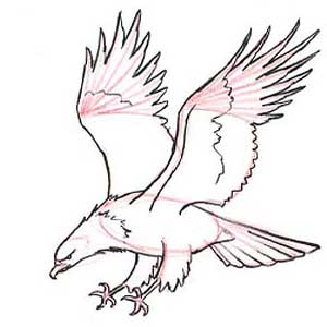 91+ Gambar Burung Elang Untuk Kolase Paling Keren - Gambar Pixabay 300_X_300_jpg