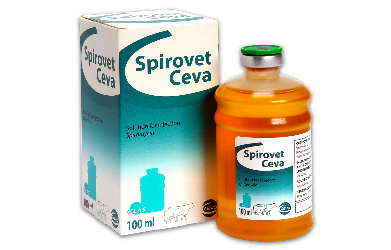 Mastitis Ceva ruminants Global