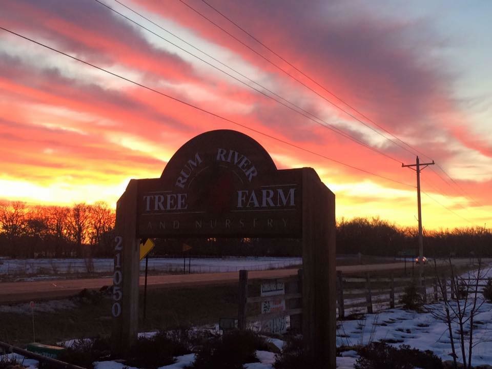 Designing Your Outdoor Spaces Rum River Tree Farm