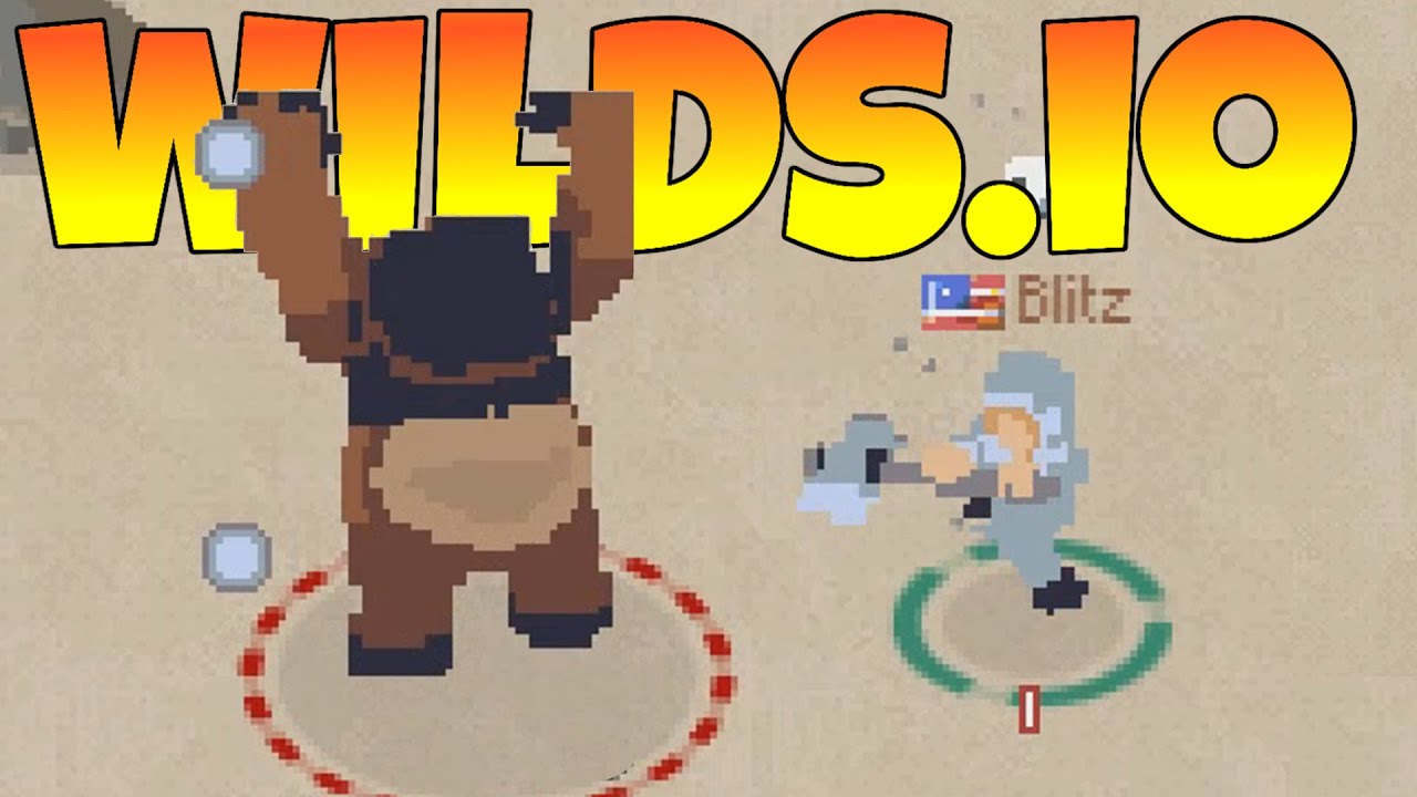 Play Wilds io Run 3