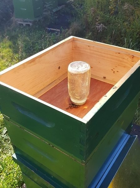 Feeding Bees In The Fall Runamuk Acres