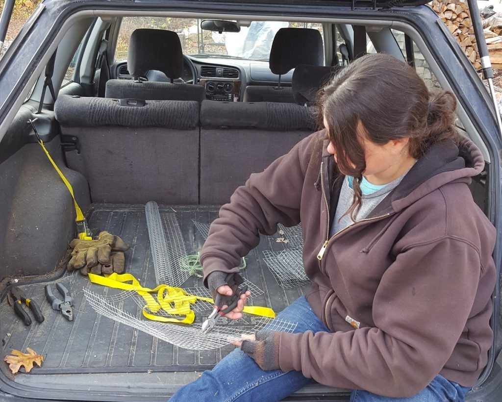 DIY mouseguards how and when to install them on your beehive