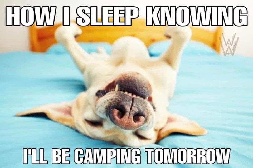 Funny Camping Memes 2020 Run Bryan Run