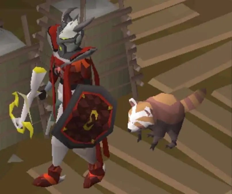 OSRS Pets Guide Find The Best One For You! Rune Fanatics