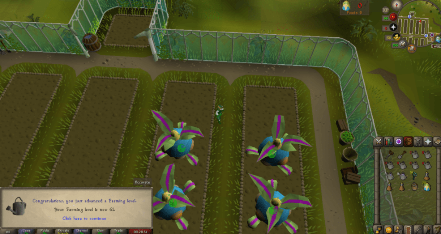 Tithe farming guide osrs