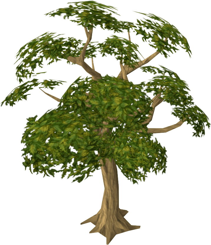 Mahogany The RuneScape Wiki