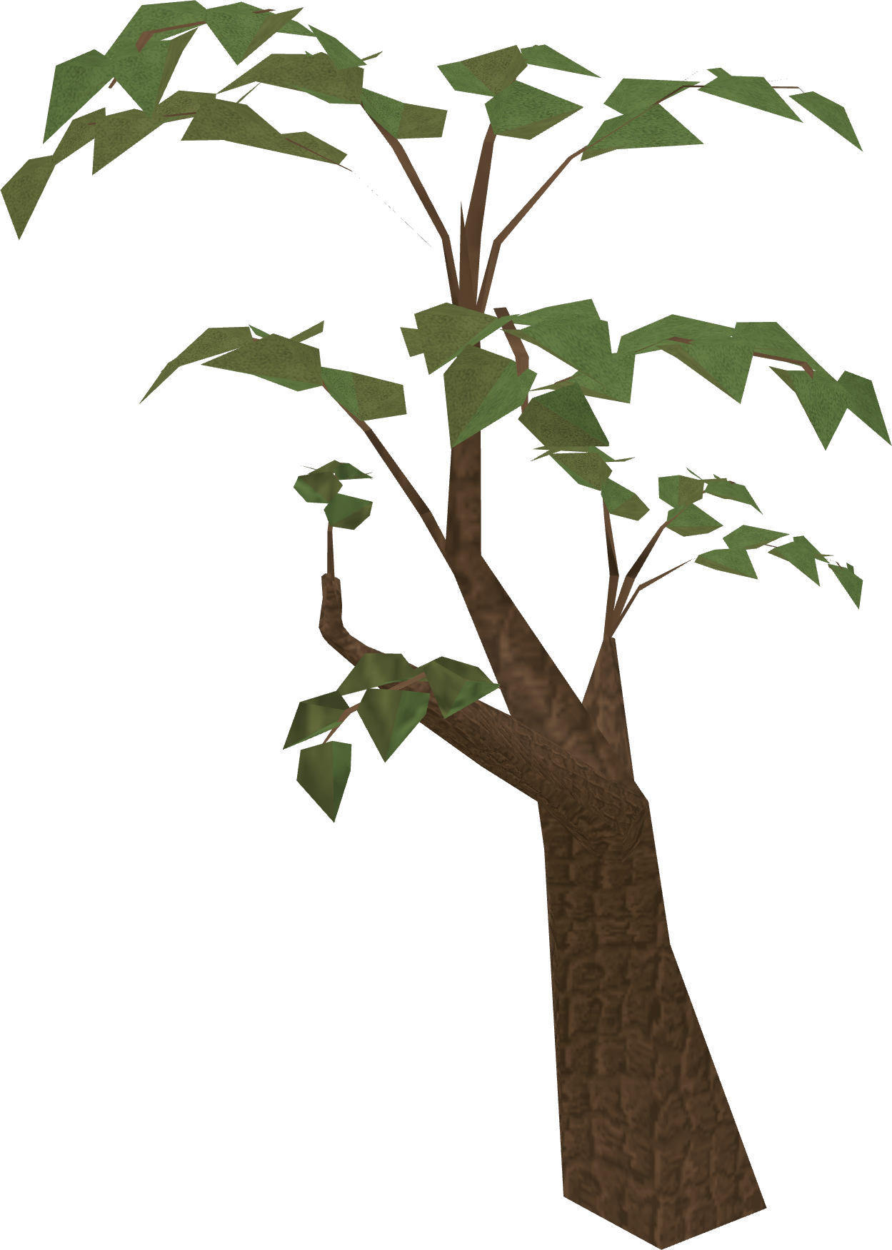 Strong tree (Karamja) The RuneScape Wiki