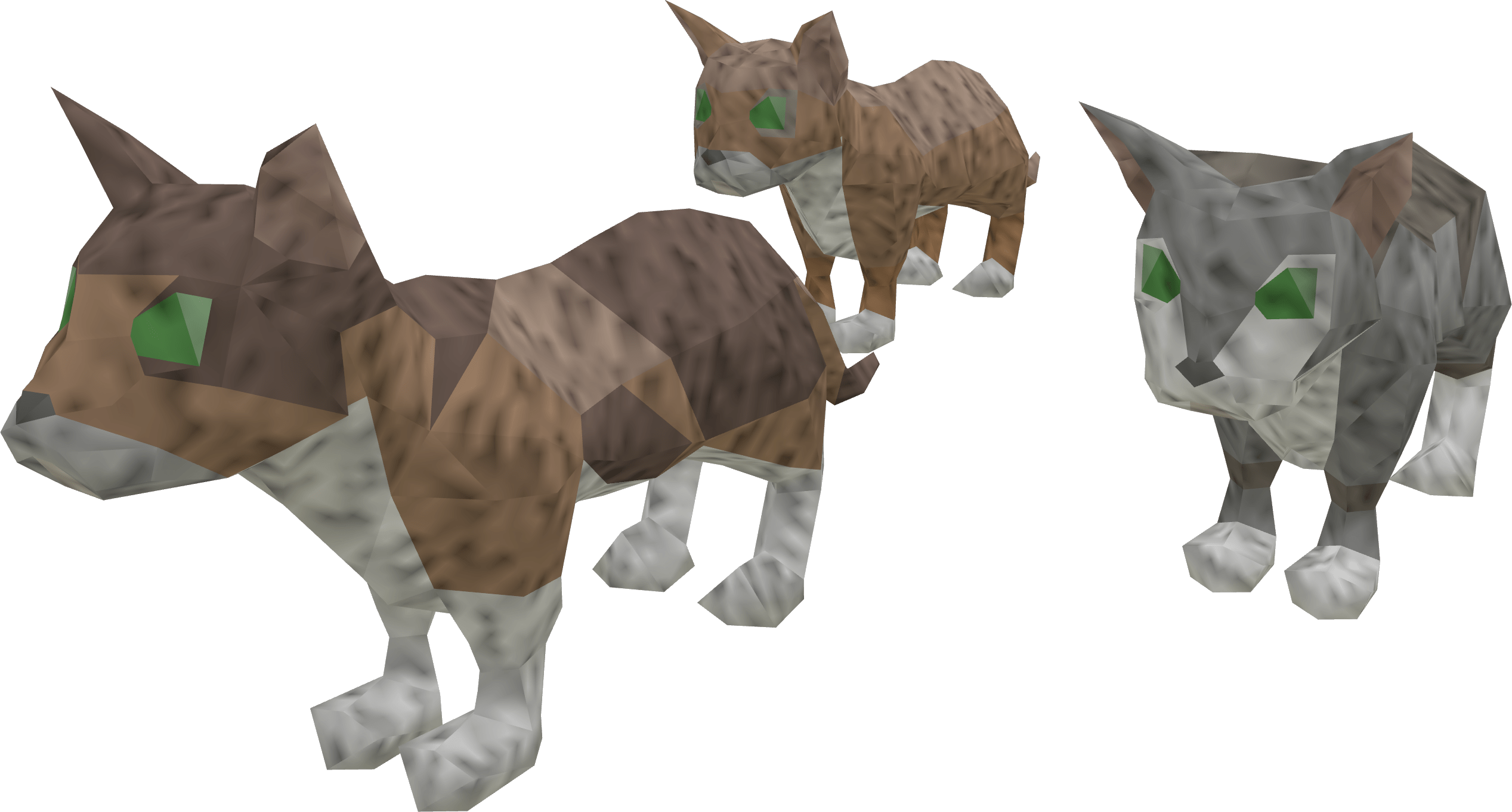 Kittens The RuneScape Wiki