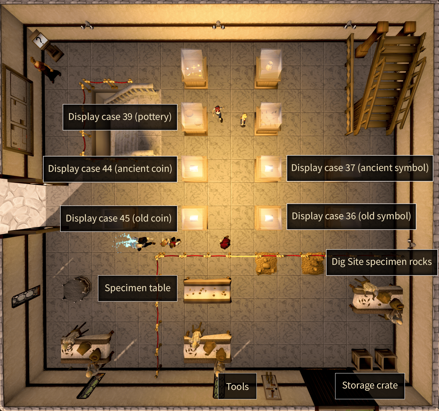 FileVarrock Museum specimen cases.png The RuneScape Wiki