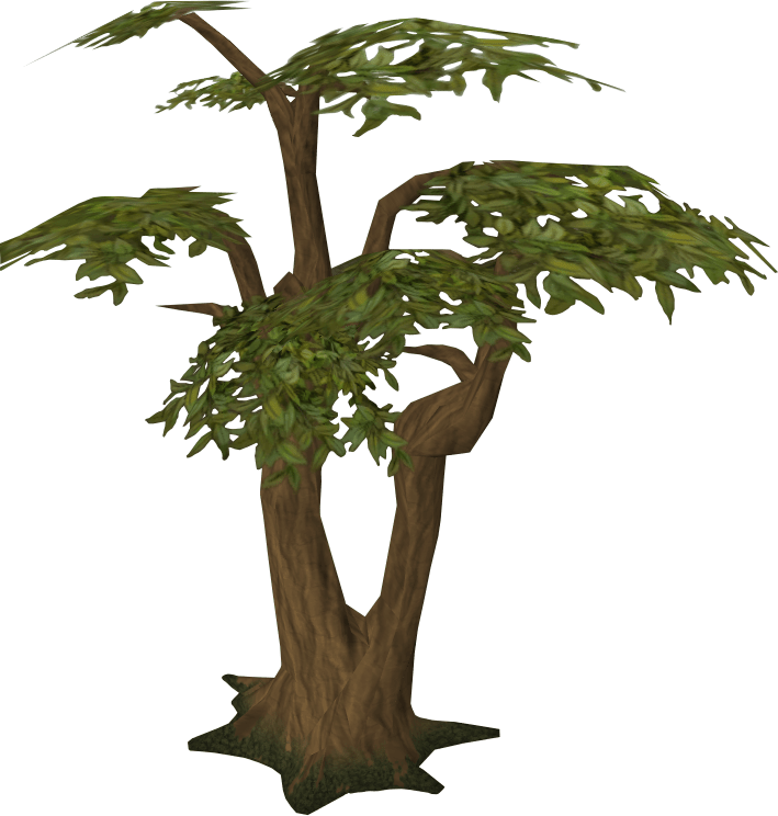 Tree The RuneScape Wiki