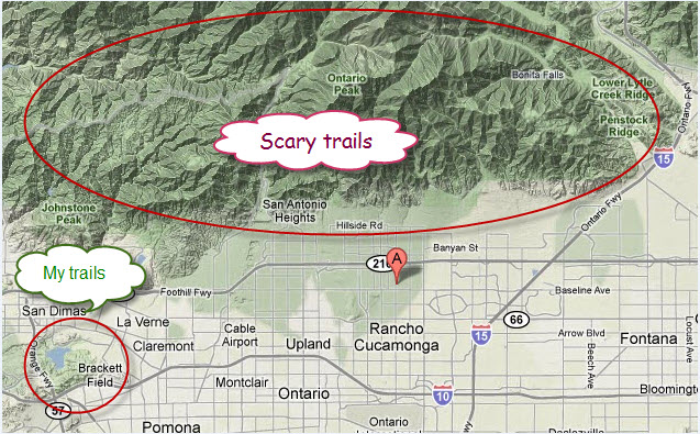 Mountain Lions, Creeps, and Bears...Oh My! Run It Fast®Run It Fast®