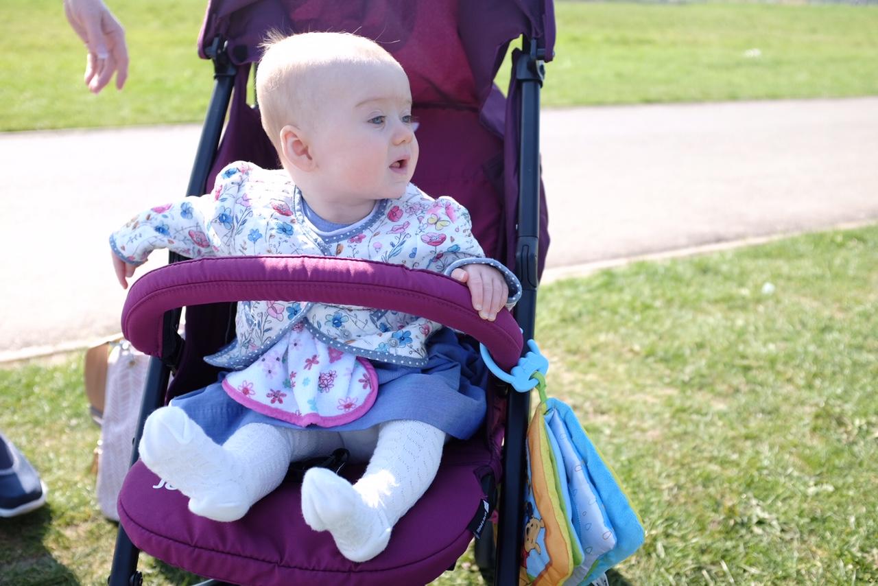 joie nitro lx stroller mulberry