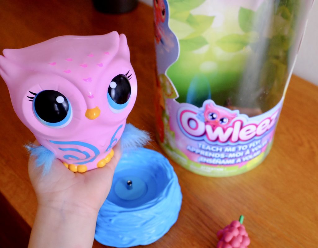 Owleez Flying Owl Toy Teach Your Owl to Fly! REVIEW