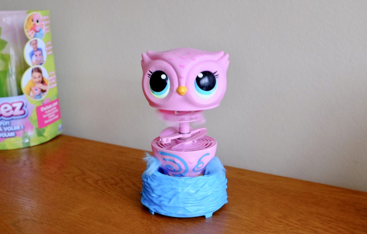Owleez Flying Owl Toy Teach Your Owl to Fly! REVIEW