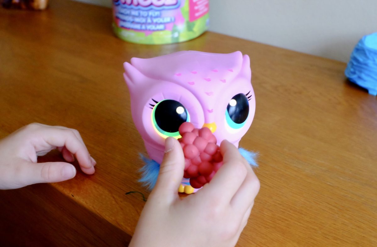 Owleez Flying Owl Toy Teach Your Owl to Fly! REVIEW
