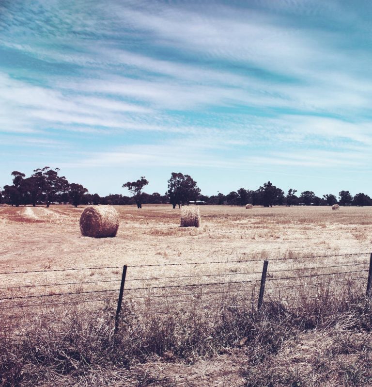 Ag Runnels Central Appraisal District