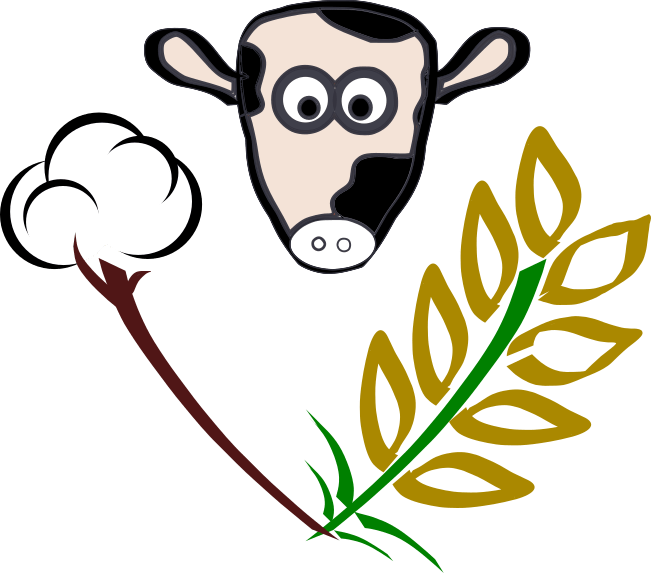 Runnels Central Appraisal District