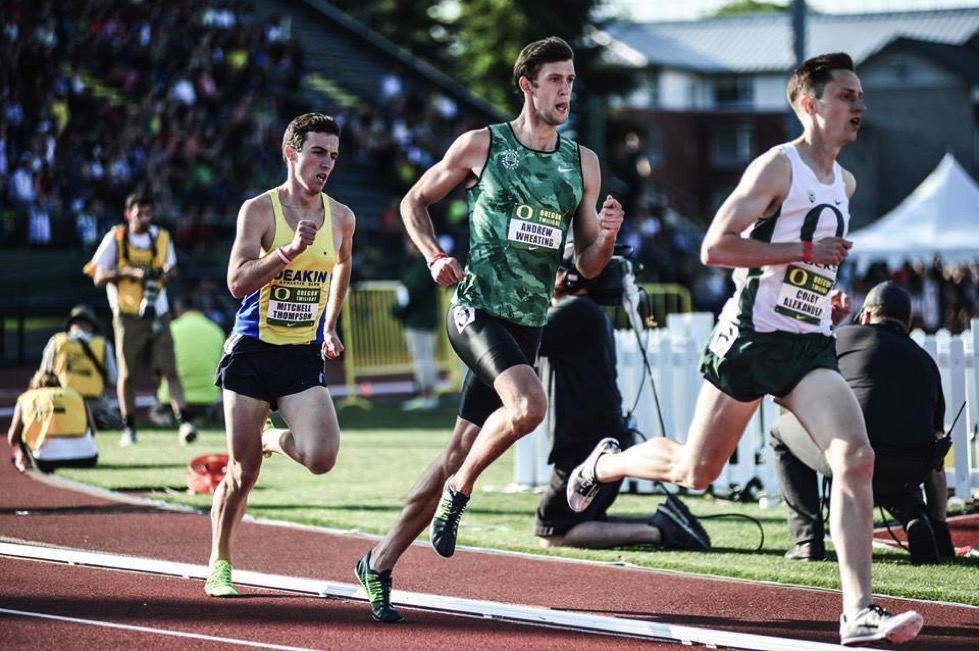 The Workout Series 4 Key Middle Distance Sessions by Mitchell Thompson