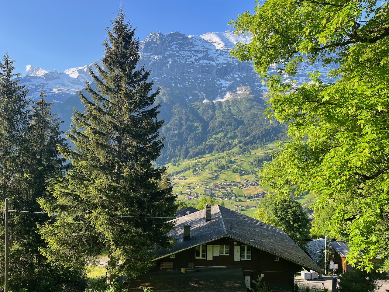 Grindelwald, oh Grindelwald Running Twins