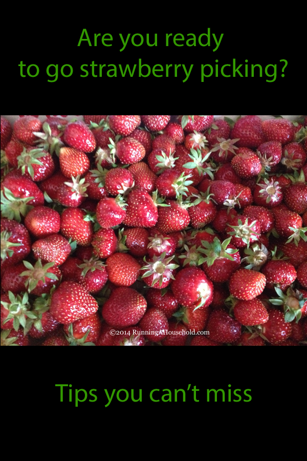 Are you ready to go strawberry picking? Running A Household