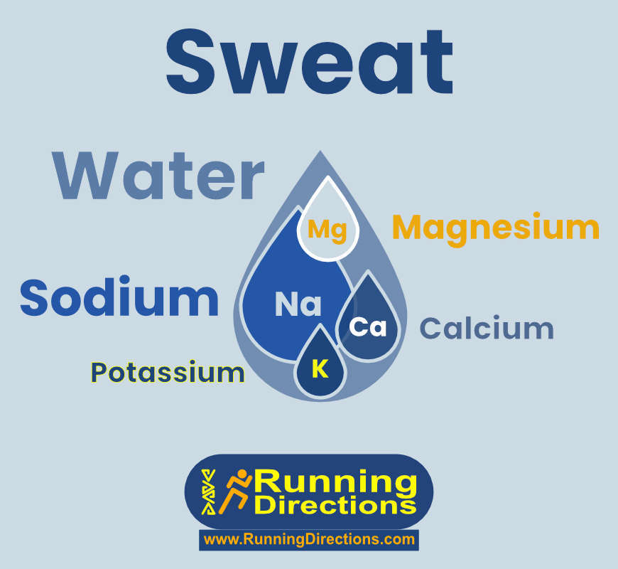 Hydration & the Importance of Electrolytes