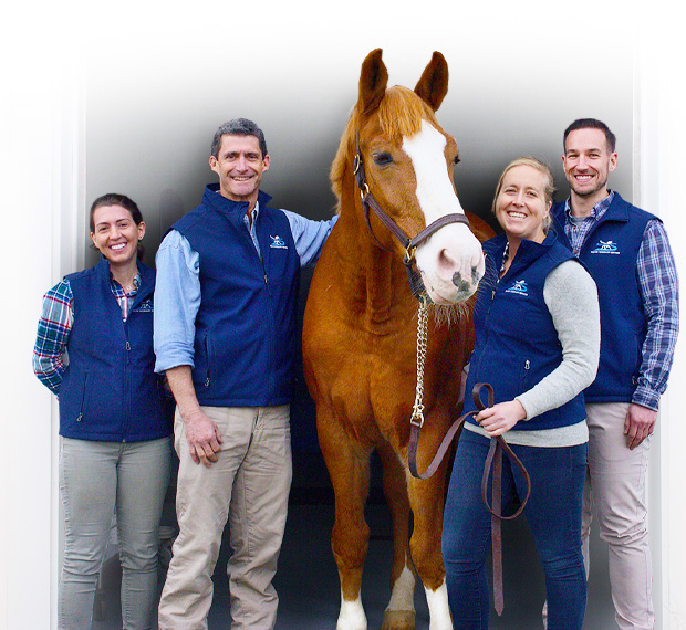 Running 'S' Equine Veterinary Services Califon Veterinary Care