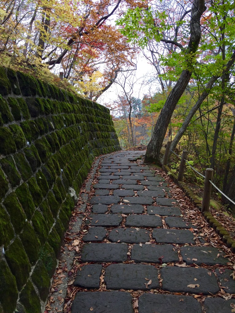 Autumn in Nikko, Japan. October 30 November 1 runningwildwithpete