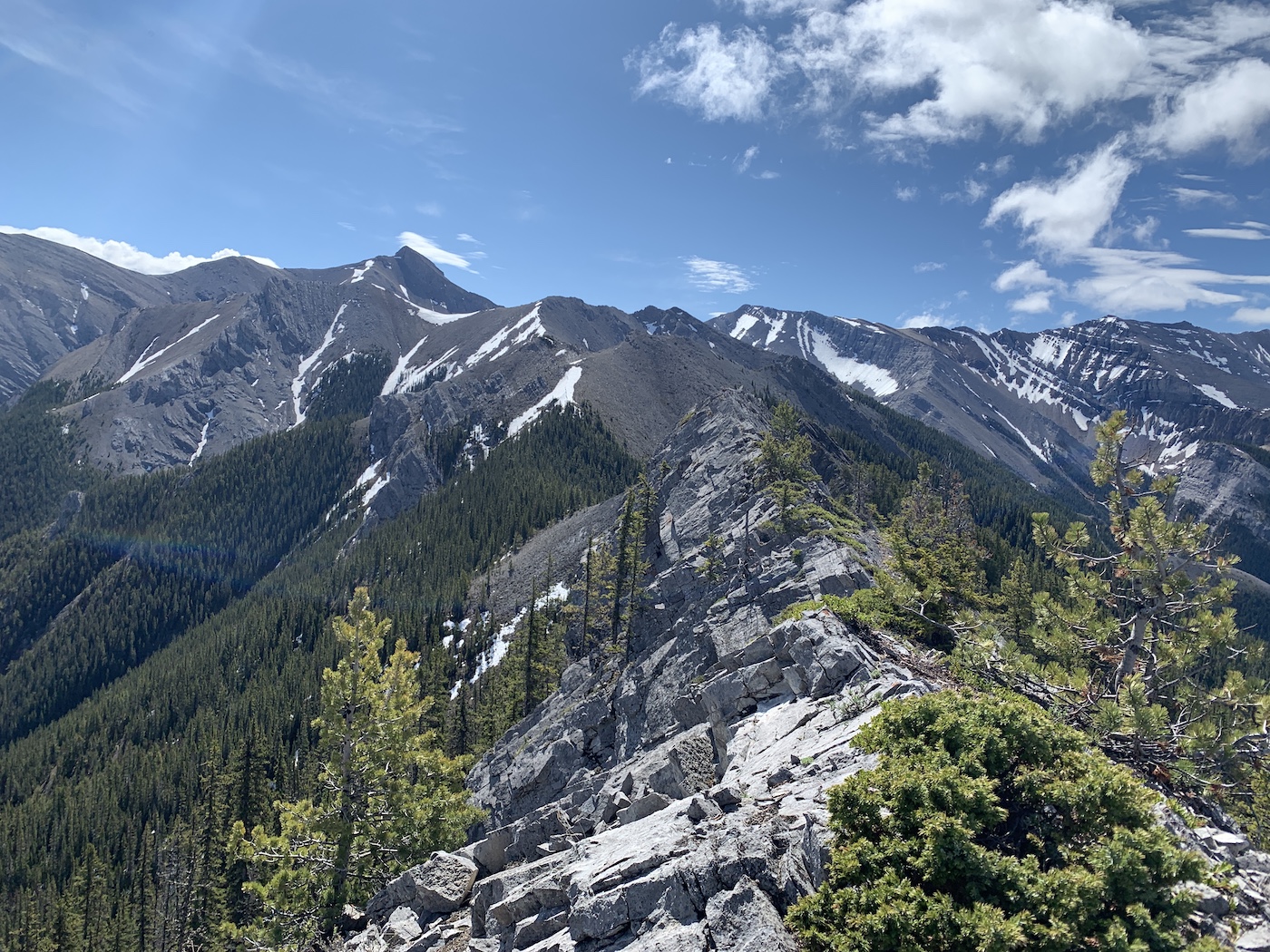 Porcupine Ridge The trail that confuses but keeps on giving Running