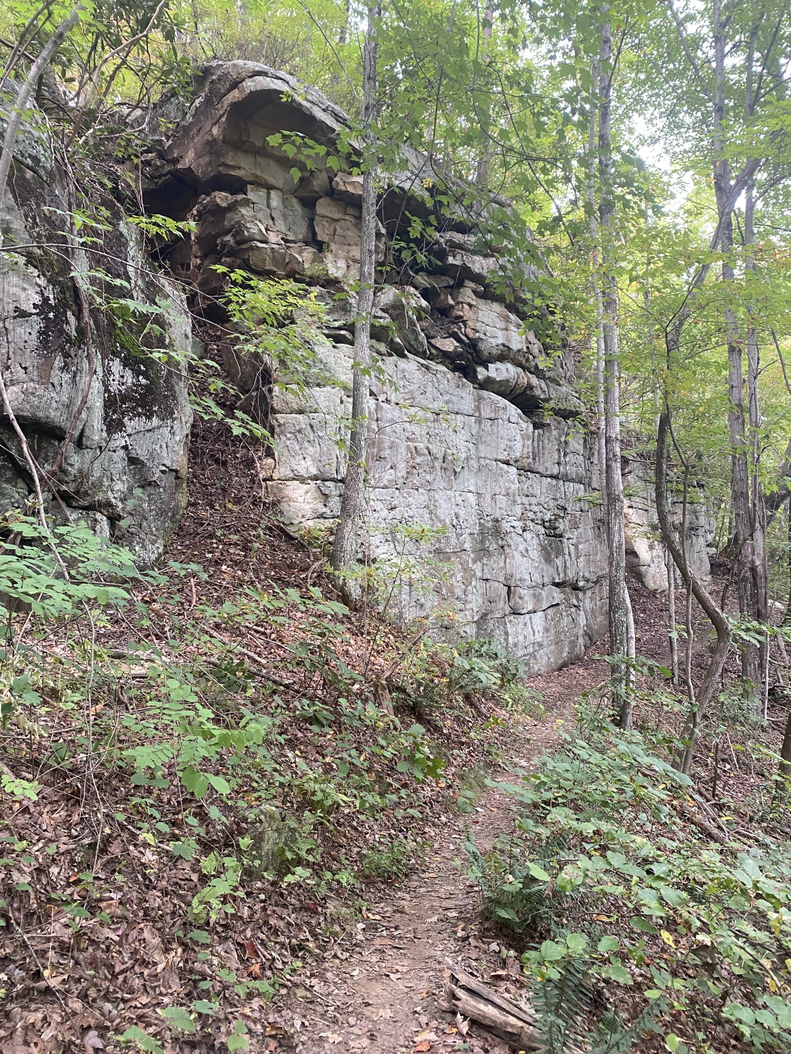 The 8 Best YouTube Running Channels To Watch In 2022 Running with Roots