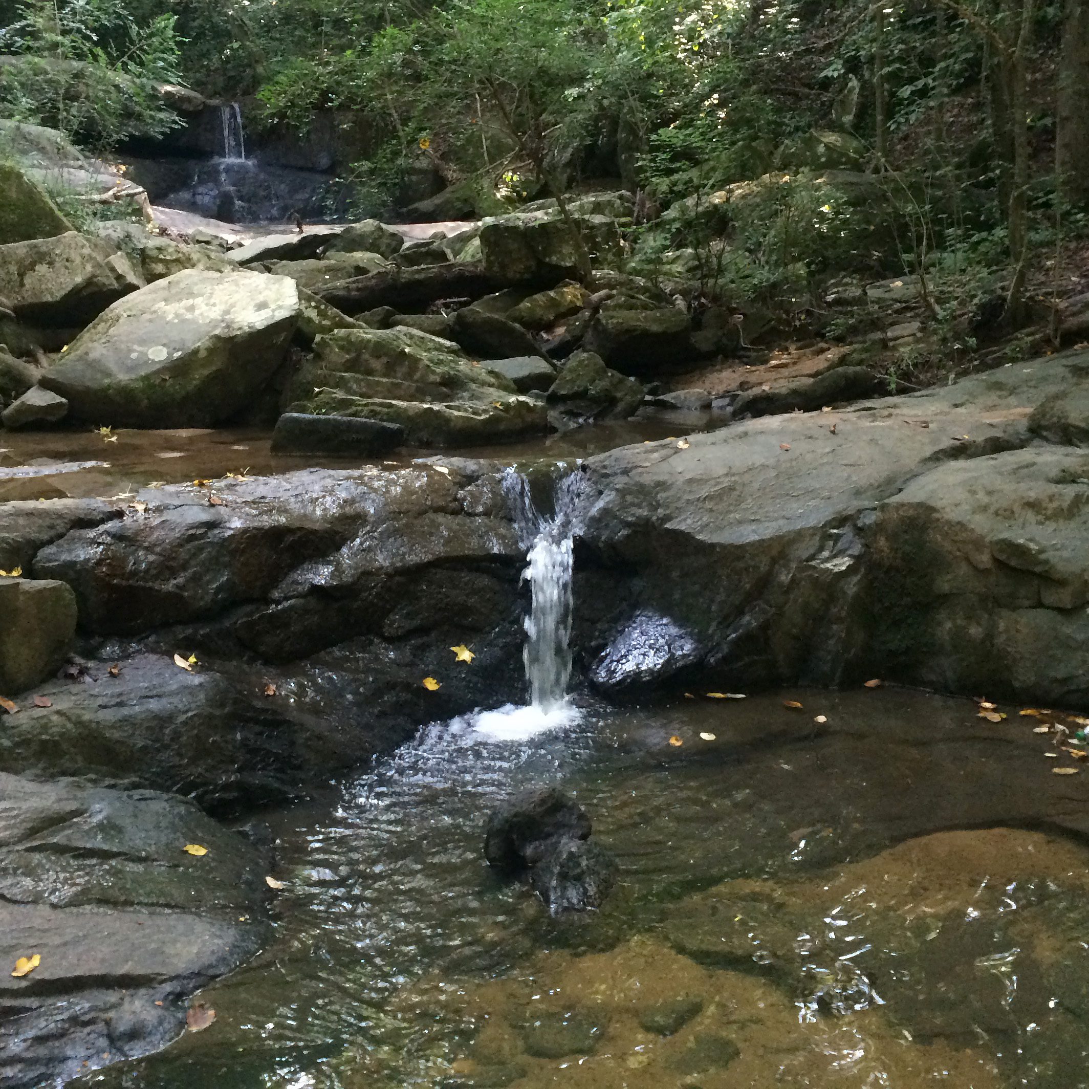Cascade Springs Nature Preserve