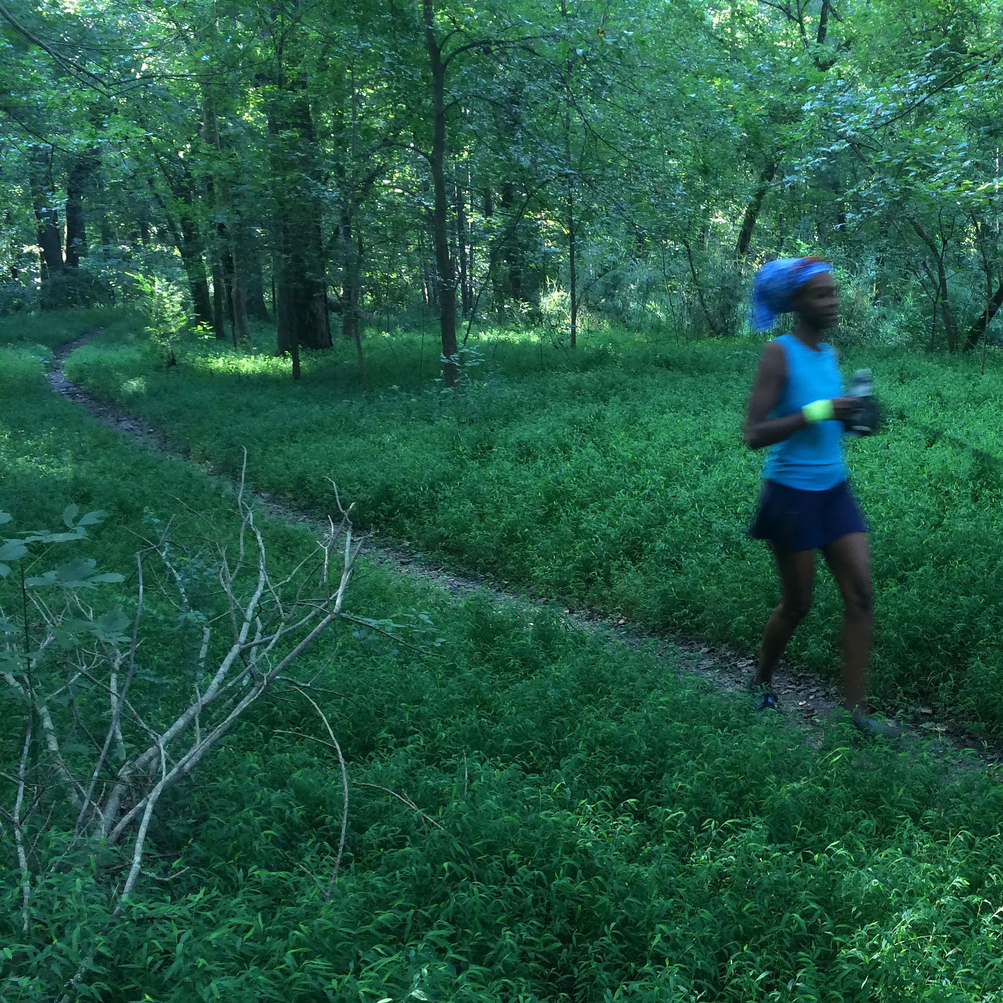 Cascade Springs Nature Preserve