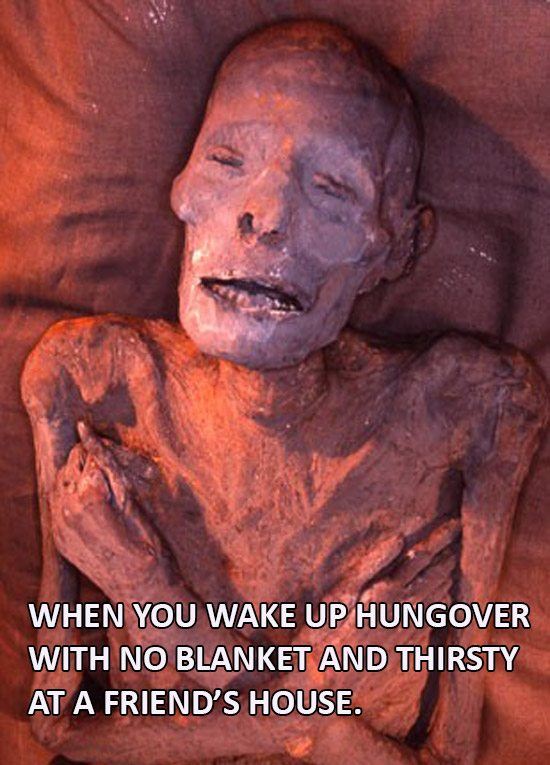 42 Hangover Memes That Capture The Regret Of Drinking Too Much