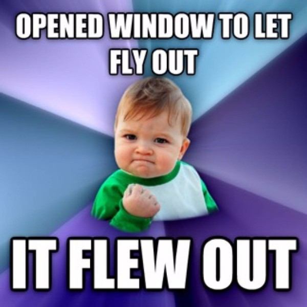 47 Success Kid Memes That Show Even Little The Victories Are Worth it