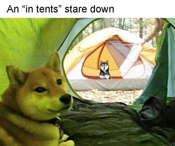 45 Camping Fails That Will Remind You Why You Only Went Once