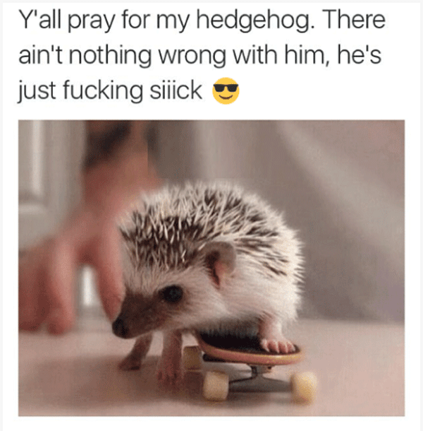 30 'Y'all Need To Pray' Memes To Share With Your Unfortunate Cousin