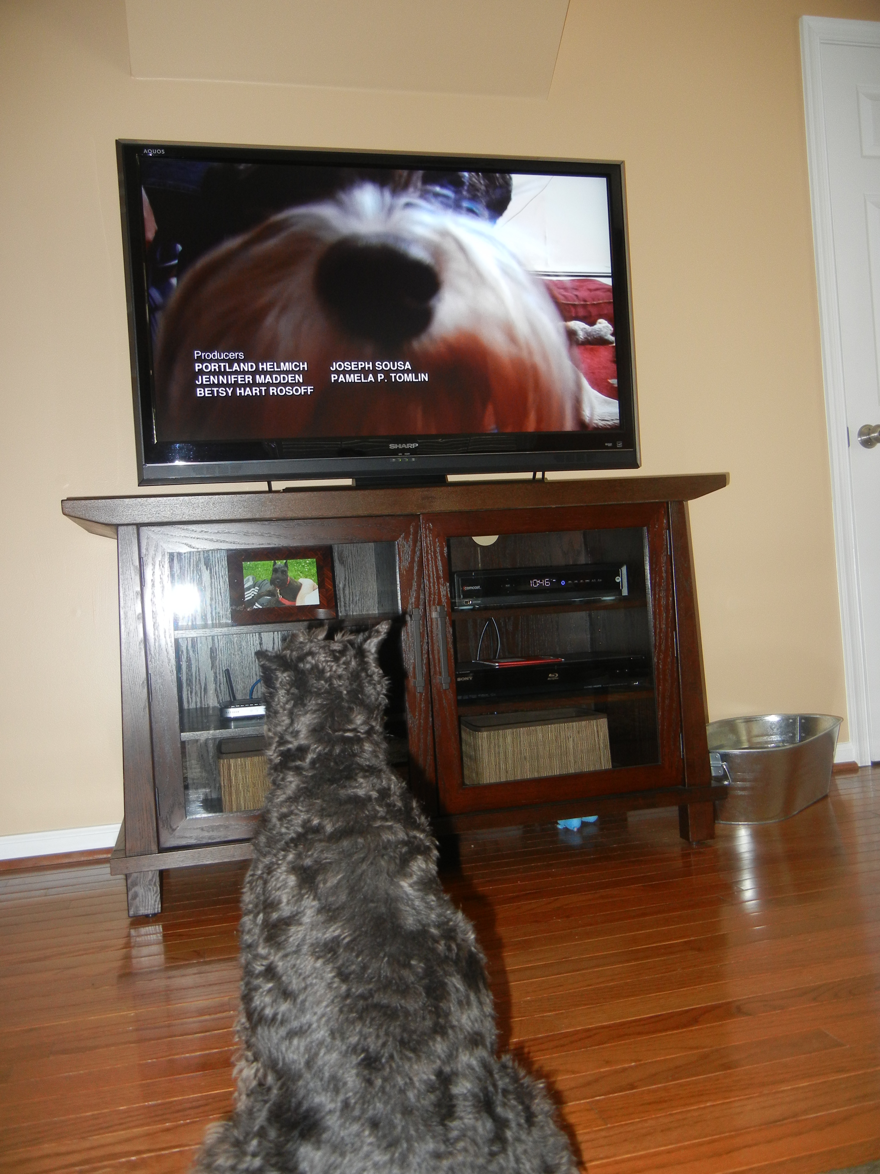 Wordless Wednesday Run The Long Road Coaching