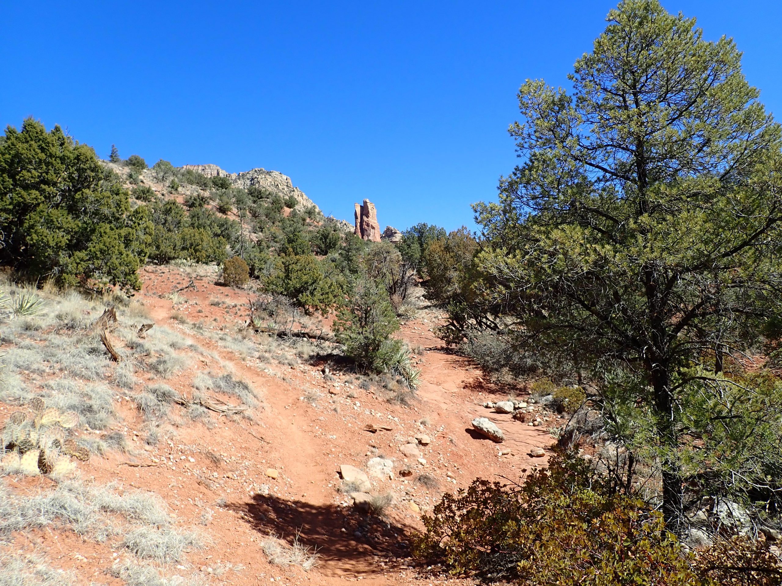 Craig Bierly Mountain Bikes the States Rabbit ridge