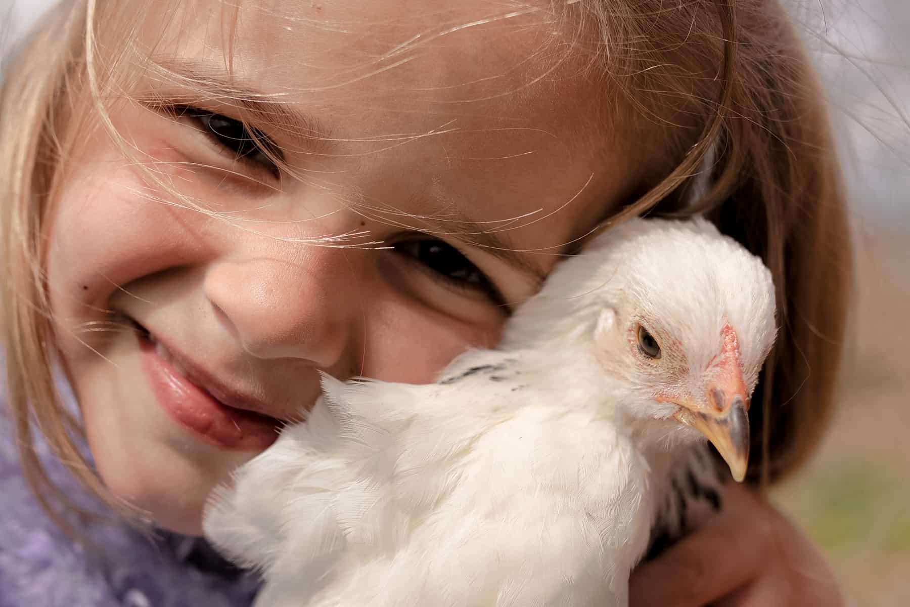 Raising Chickens with Kids • RUN WILD MY CHILD