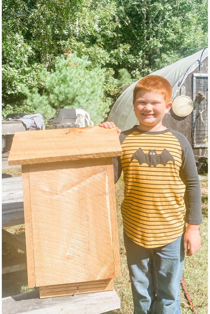 How to Build a Bat House with Kids • RUN WILD MY CHILD