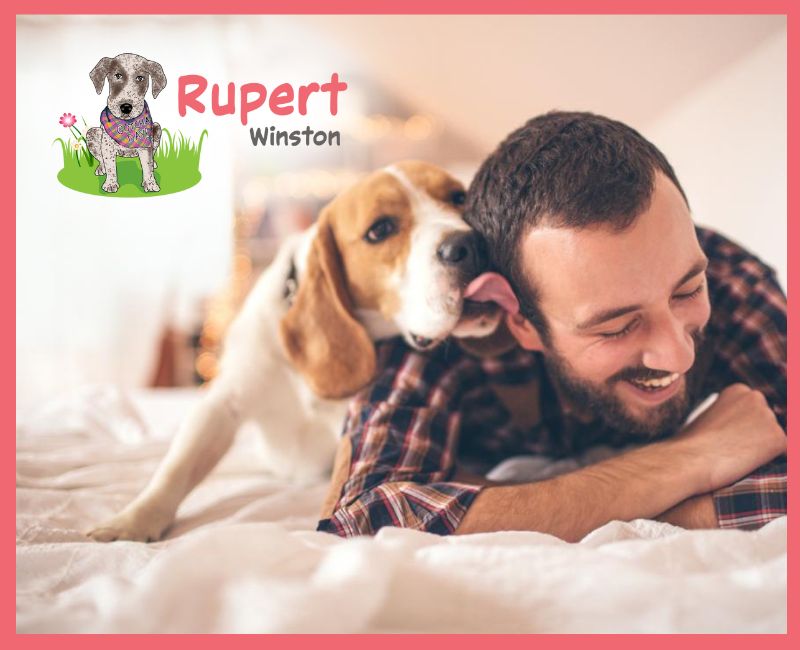 Why humans love dogs so much! Rupert Winston