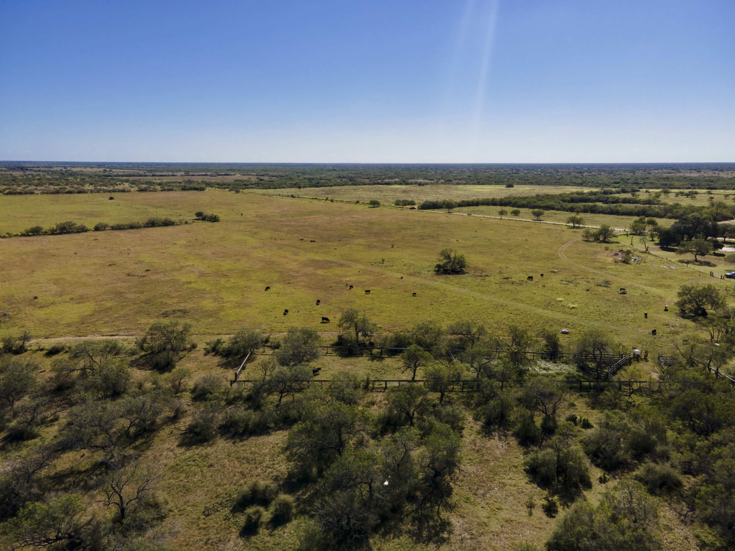 305 +/ acres Duval County Ranch Ruple Properties