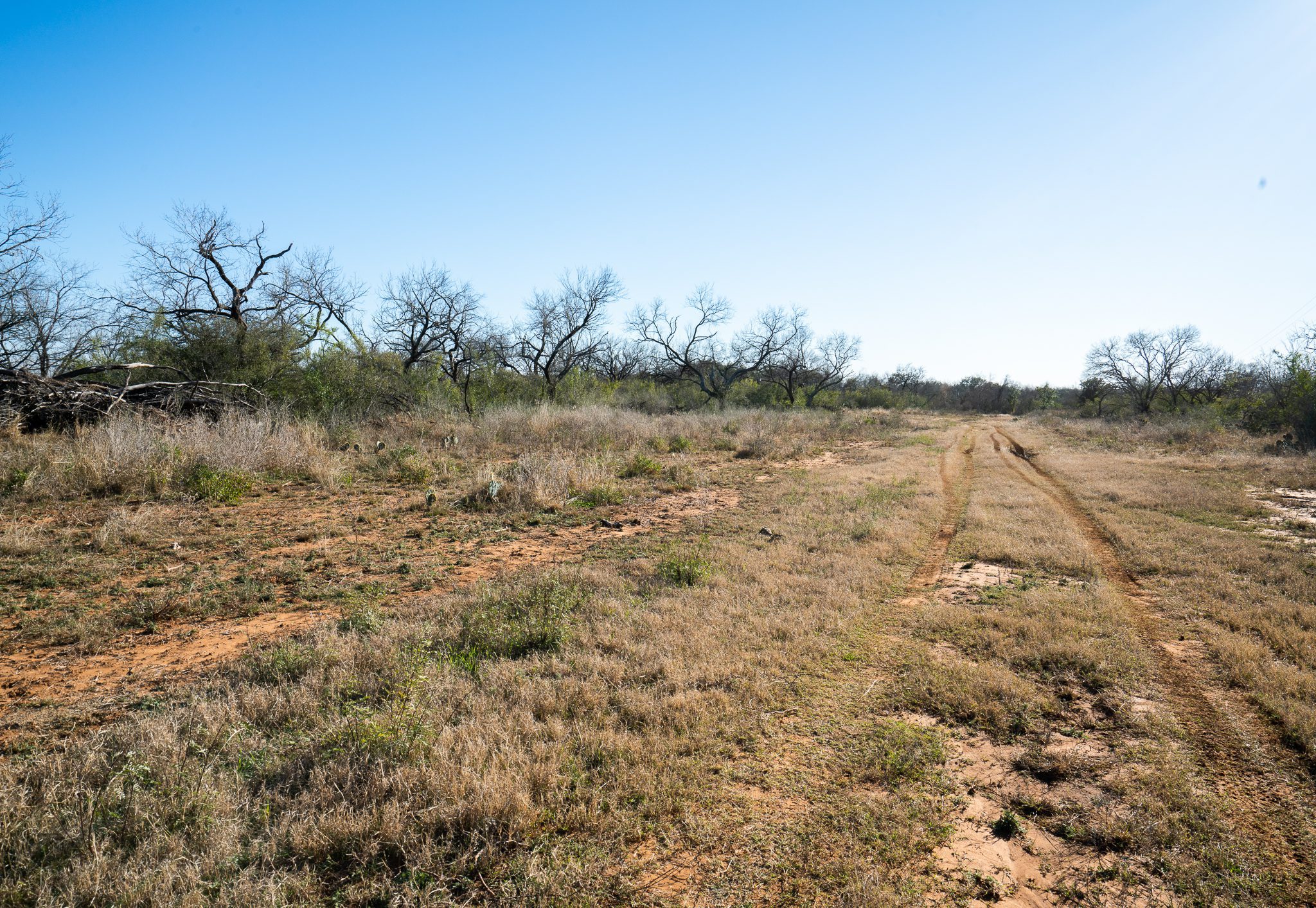 40 +/ acres near Jourdanton, TX Ruple Properties