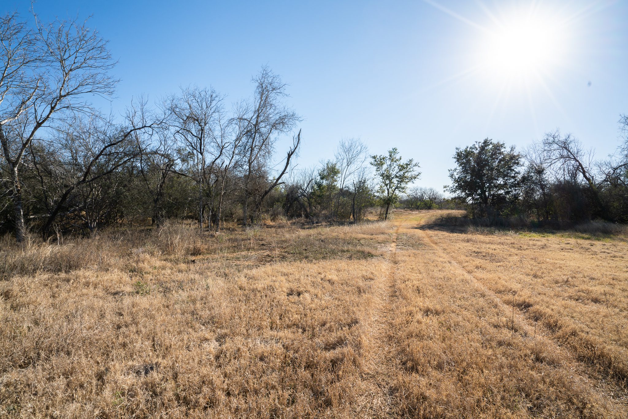 W. 50 +/ acres near Jourdanton, TX (Tract 1 of 2) Ruple Properties