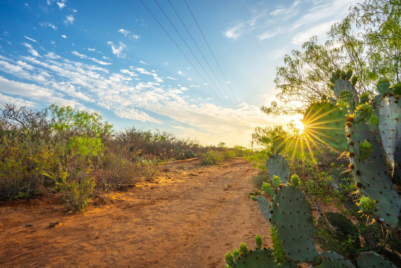 260 +/ acres, La Salle County Ruple Properties