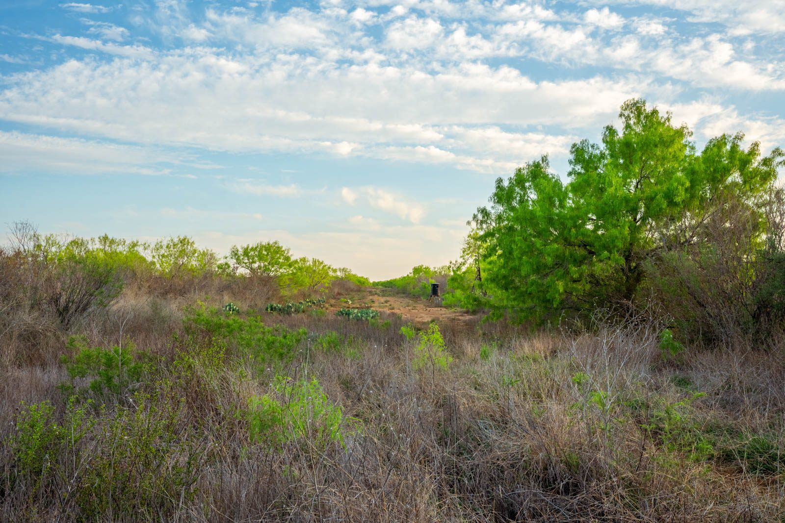260 +/ acres, La Salle County Ruple Properties