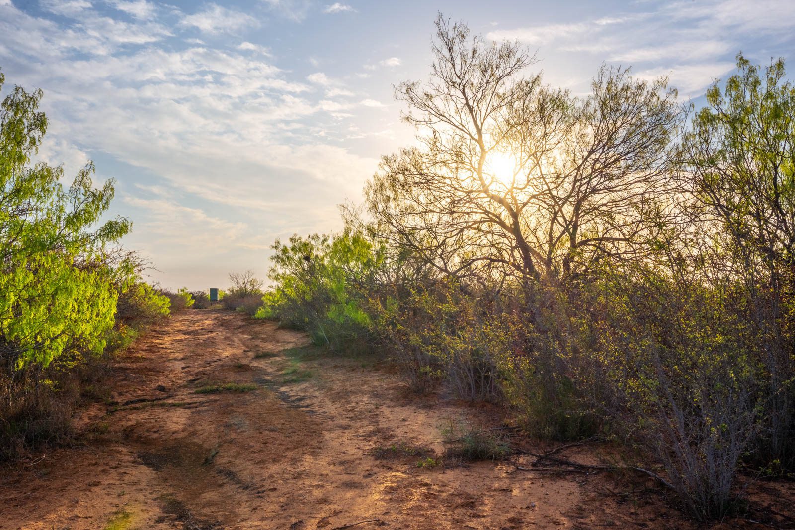 260 +/ acres, La Salle County Ruple Properties