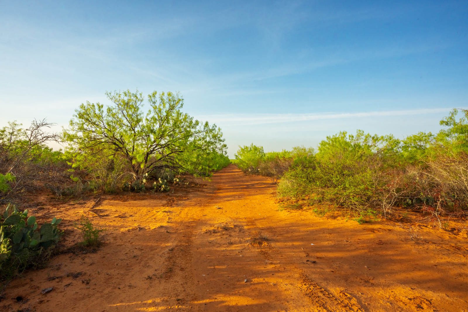 260 +/ acres, La Salle County Ruple Properties