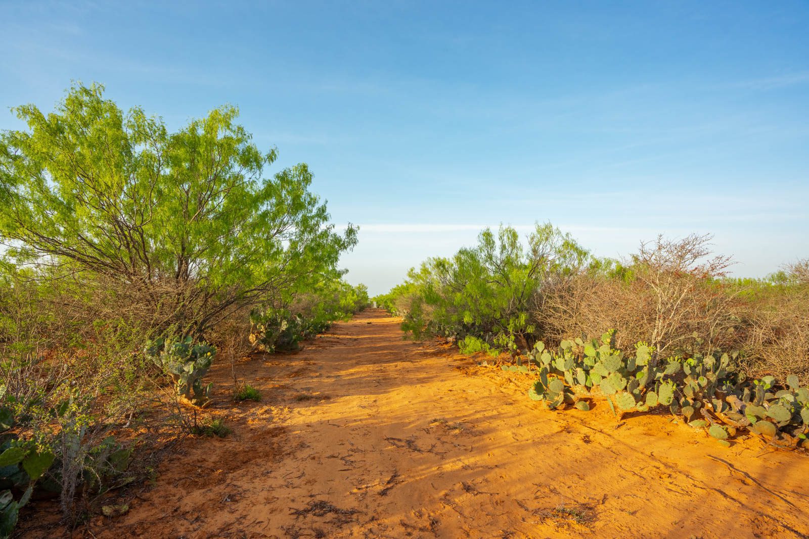 260 +/ acres, La Salle County Ruple Properties